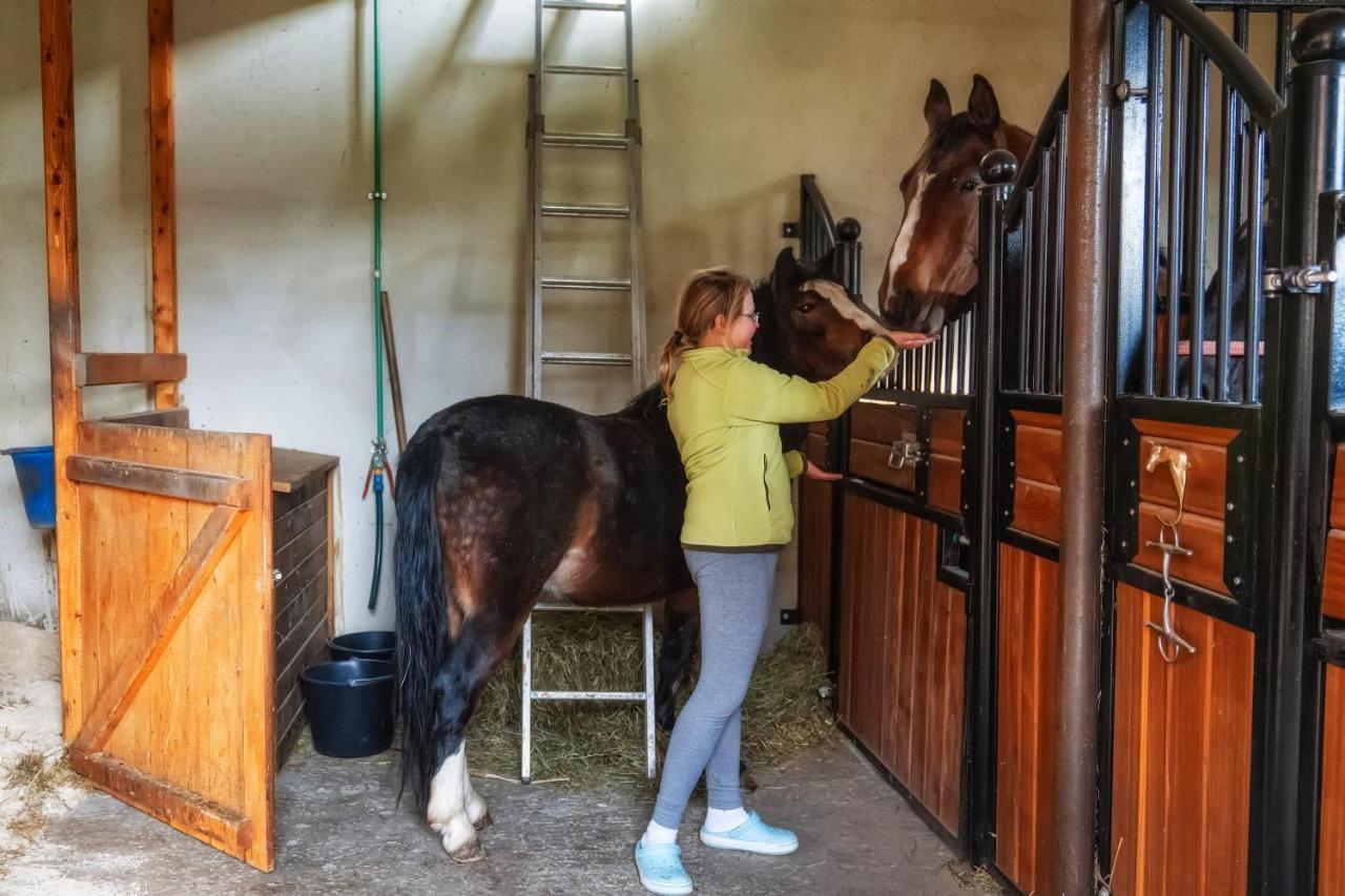 Apartamenty "Goralskie Katy" Agroturystyka Szaflary Bagian luar foto